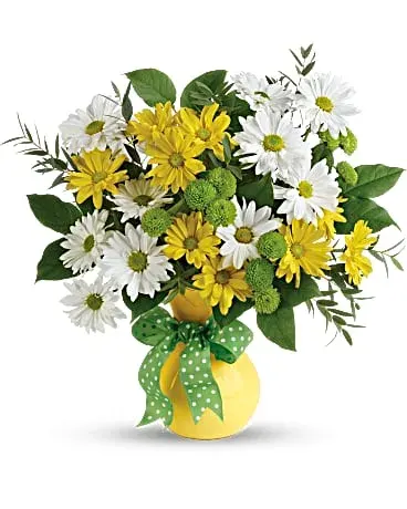 Daisies and Dots Tev56-1