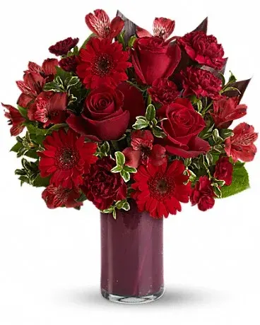 Red Rapture T541-1