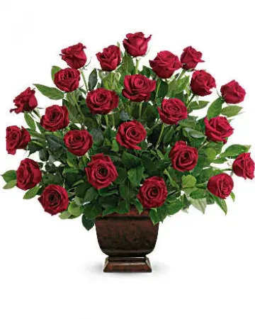 Rose Tribute T224-1