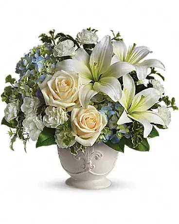 Beautiful Dreams T209-1