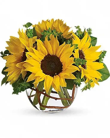 Sunny Sunflowers T152-2