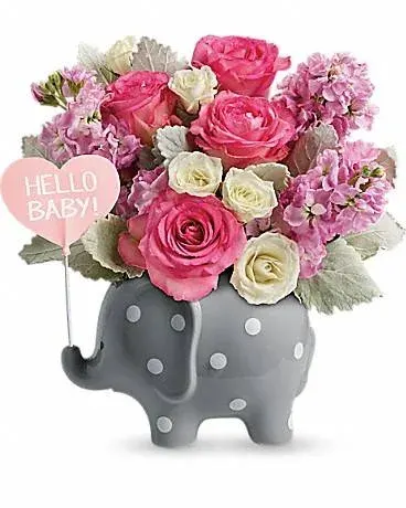 Hello Sweet Baby - Pink Tnb06-1