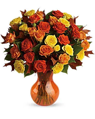 Fabulous Fall Roses Tfl02-3
