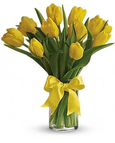 Sunny Yellow Tulips T140-1