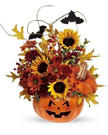 Trick & Treat T12h100