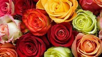 Choose Your Color Rose Arrangment