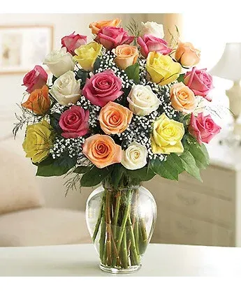 2 Dozen Mixed Colored Roses