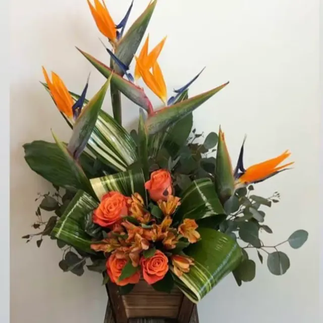Tropical wooden box