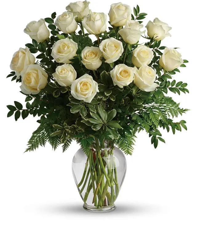 Joy of Roses