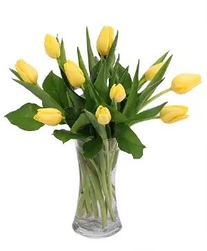 Sweet Sunshine Tulips