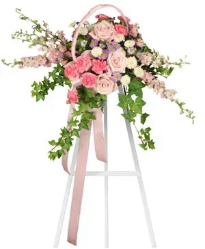 Delicate Pink Spray