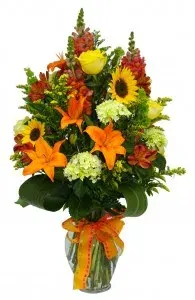 Sunflower Delight