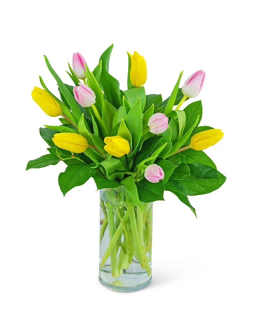 Strawberry Lemonade Tulips