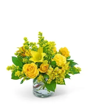 Canary Light