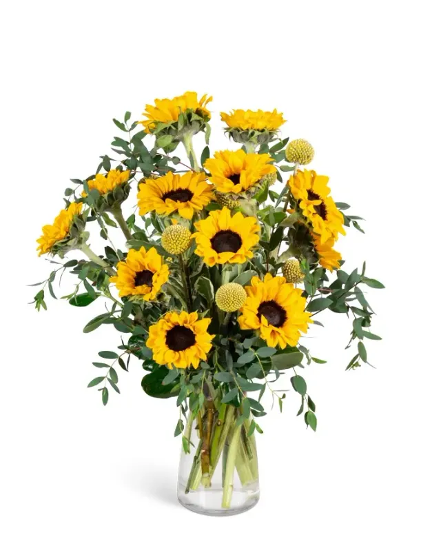 Wildflower Sunshine