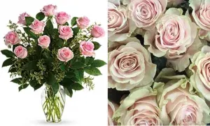Pink Roses, Arranged