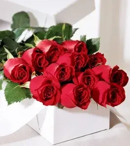 Long Stem Red Roses Boxed