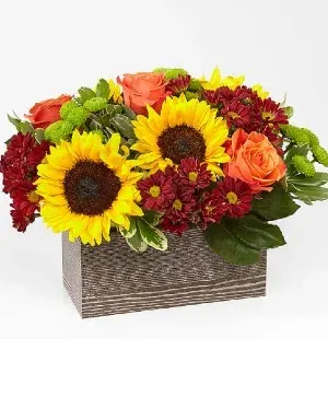 Charming Harvest Garden Box