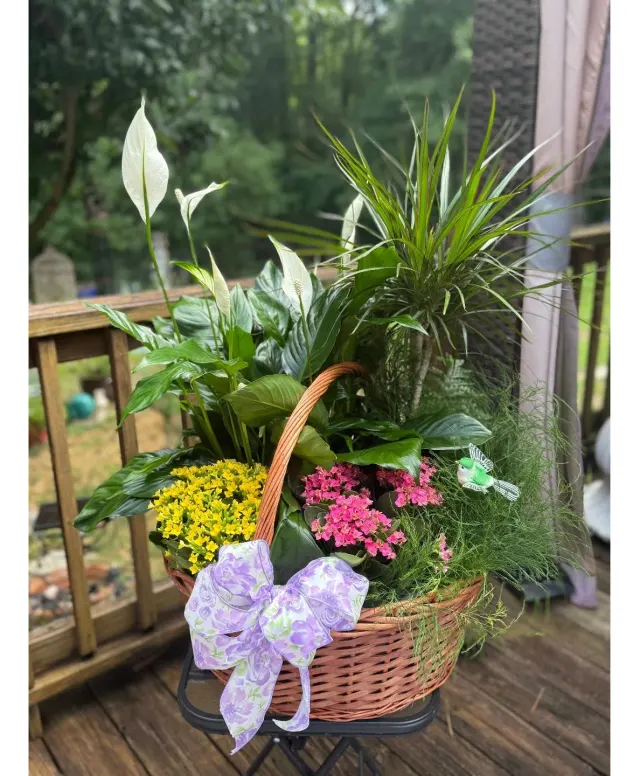 Plant Basket Perfection