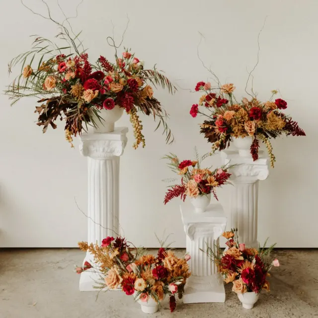 Harvest Hues Collection