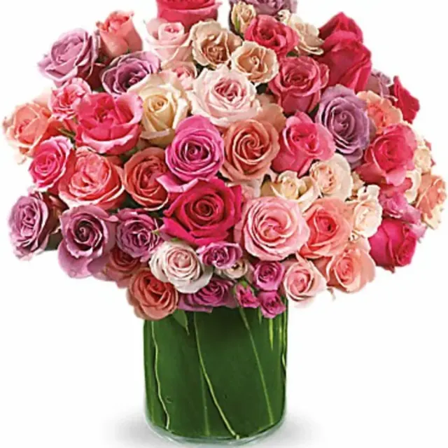 Rose Rapture