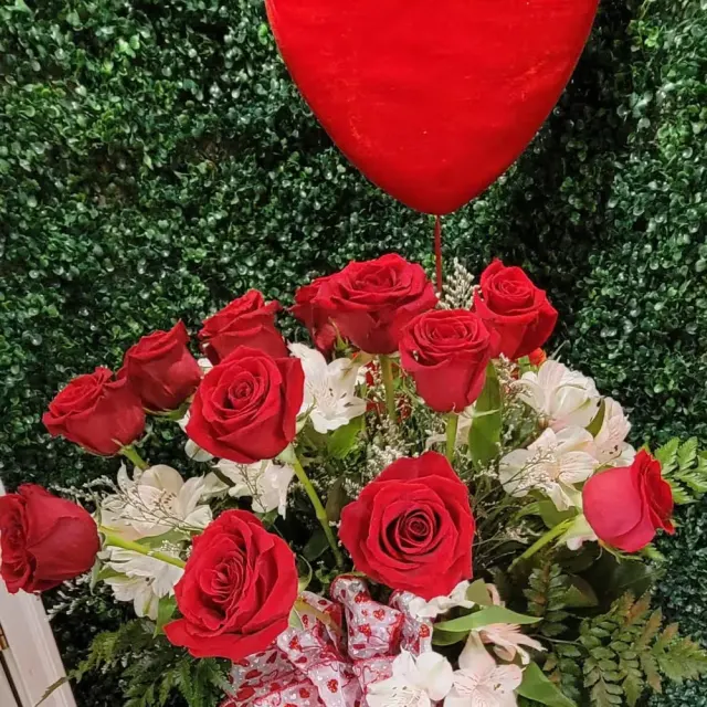 Dz Roses