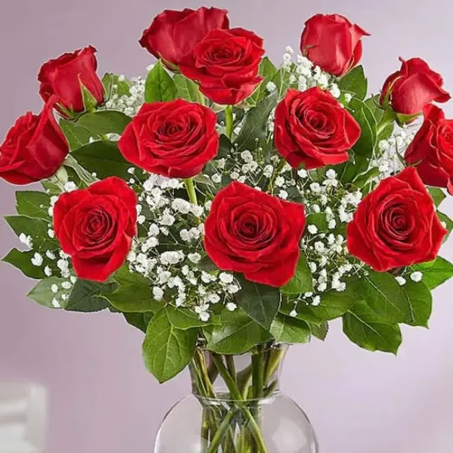 Dozen roses