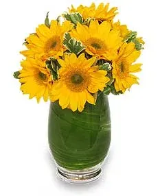 Sunny Day Greetings