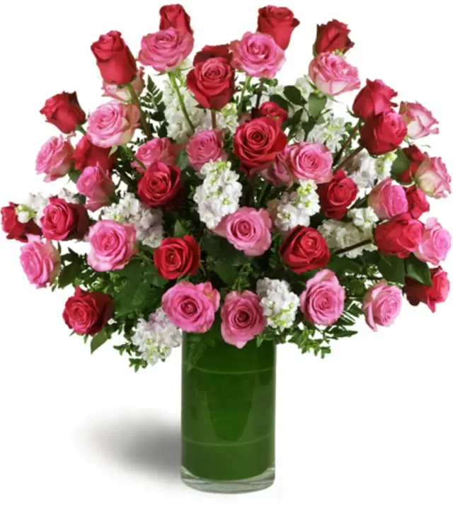 Opulent Roses