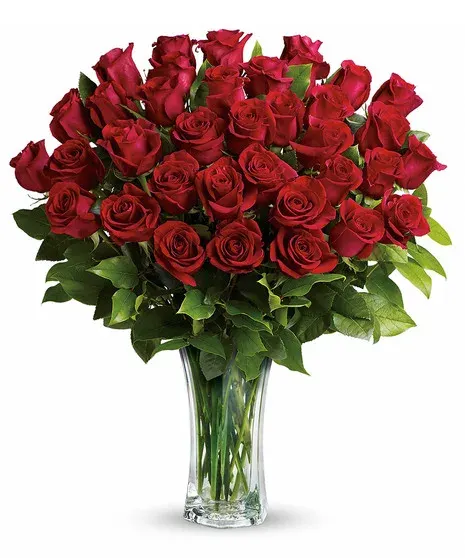 Long Stemmed Roses 2-3 Dozen