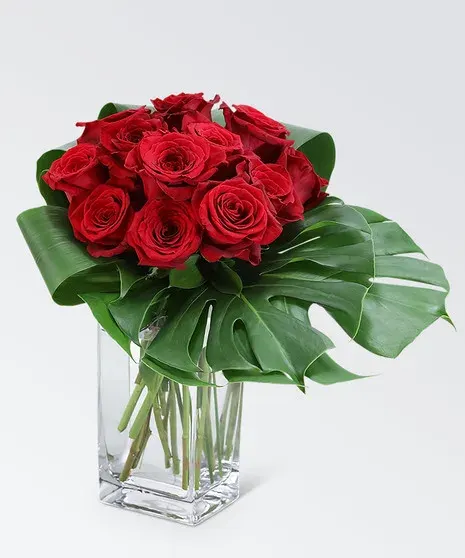 Modern Roses (12)