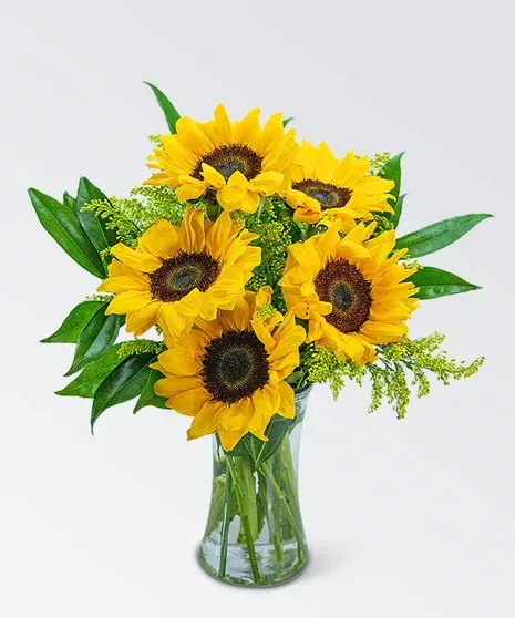 Sprinkle of Sunflowers