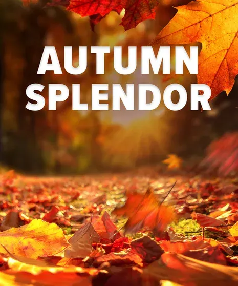 Autumn Splendor Designer Original Bouquet