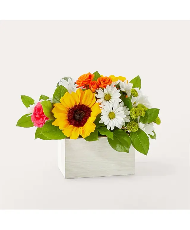 Sun-Drenched Blooms Box M3s