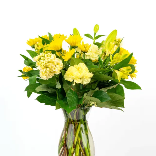 Our Gentle Thoughts Collection: Monochromatic Yellow