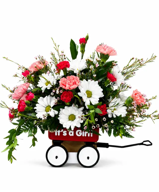 Baby Girl Wagon
