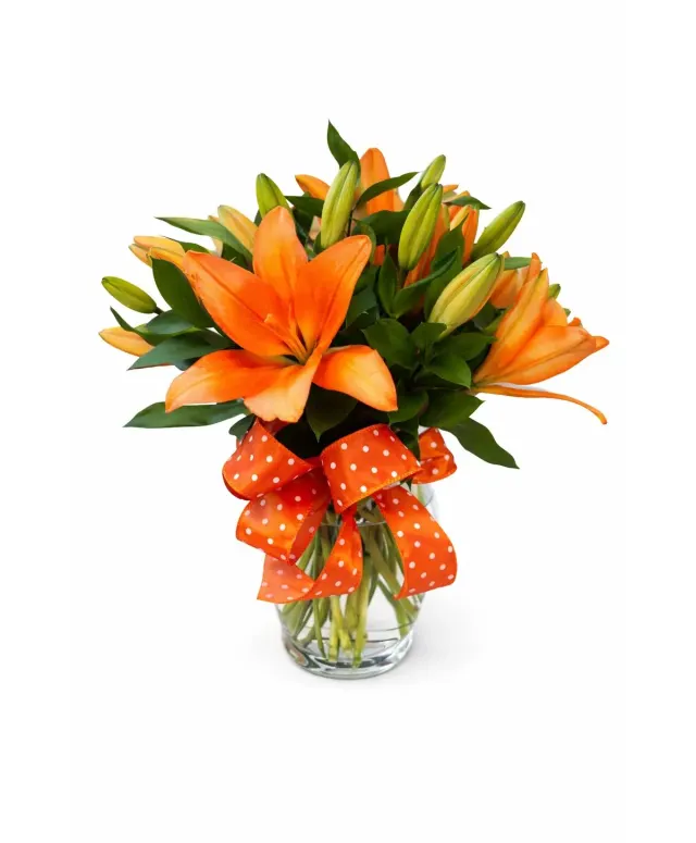 Citrus Celebration