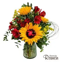 Ladybugs & Sunflowers