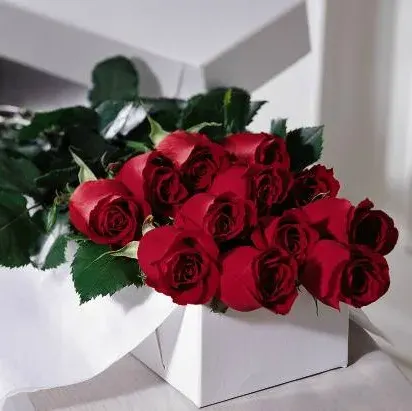 One Dozen Roses Hollywood Boxed