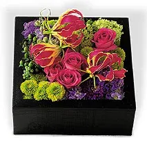 Inspiration Flower Box For Bryan Adams Foundation