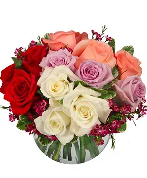 Rendezvous Roses