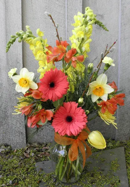 Sunny Spring