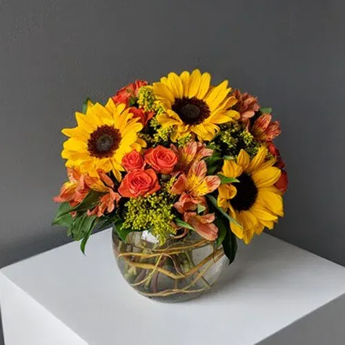 Bowl of Sunshine