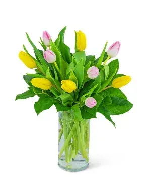 Strawberry Lemonade Tulips