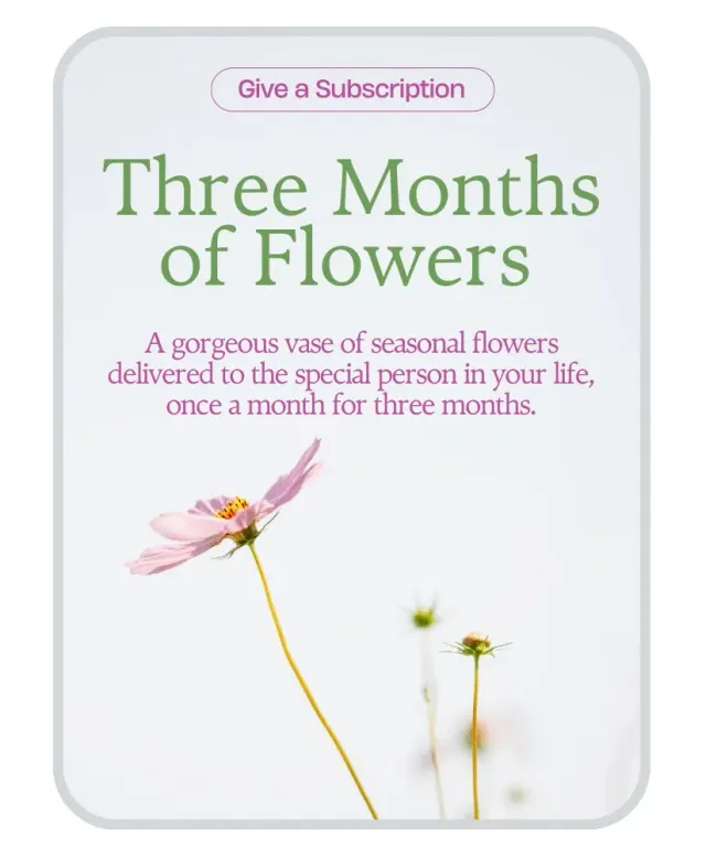 Bouquet of the Month Club (3)