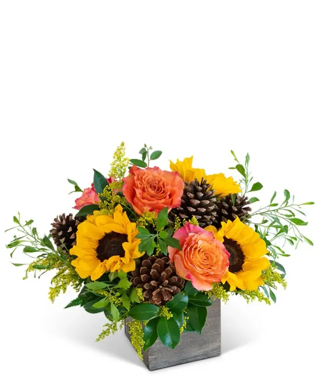 Harvest Sunburst Harmony