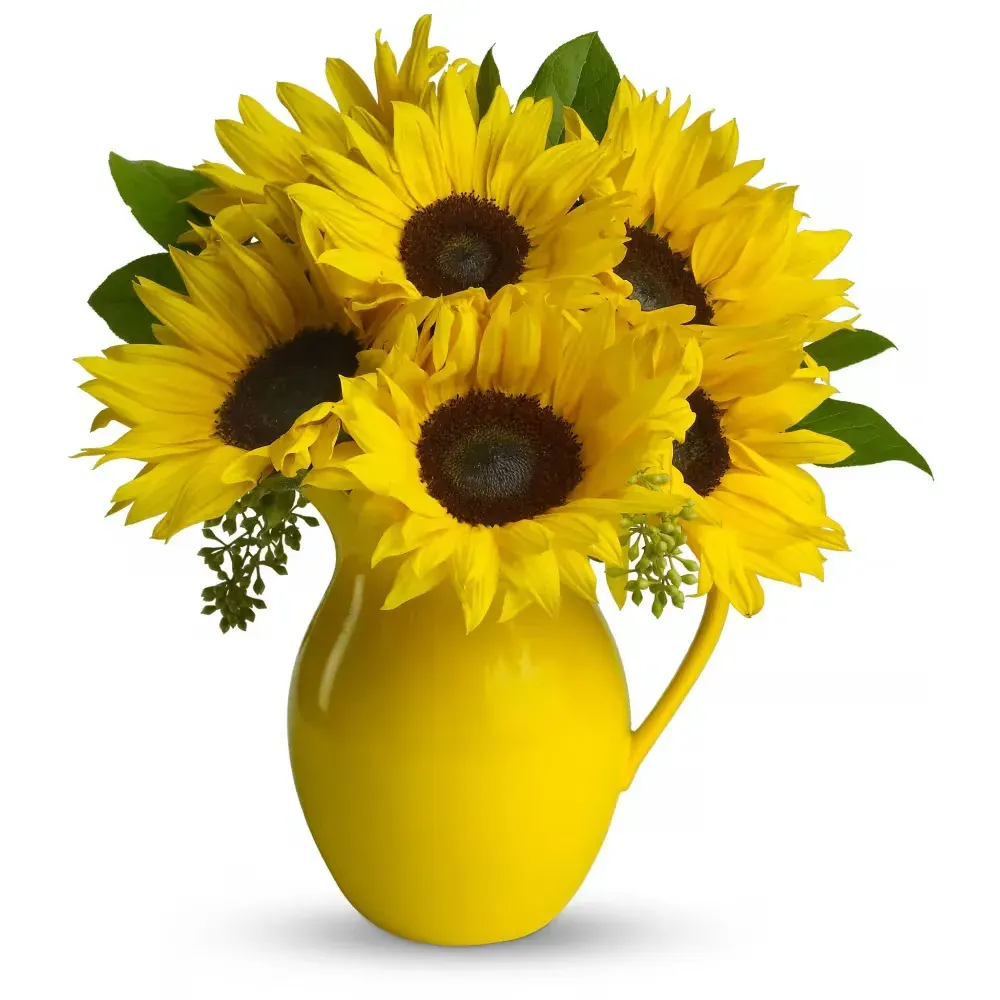 Teleflora's Sunny Day Pitcher of Sunflowers