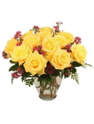 Gold Strike Roses