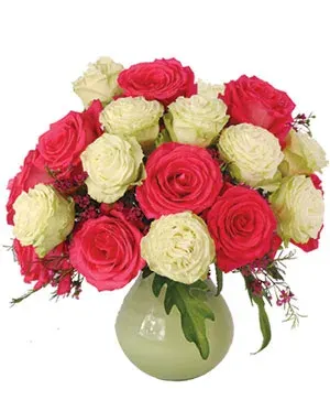 Honor & Grace Roses