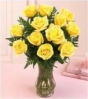 1 Dozen Yellow Rose Bouquet